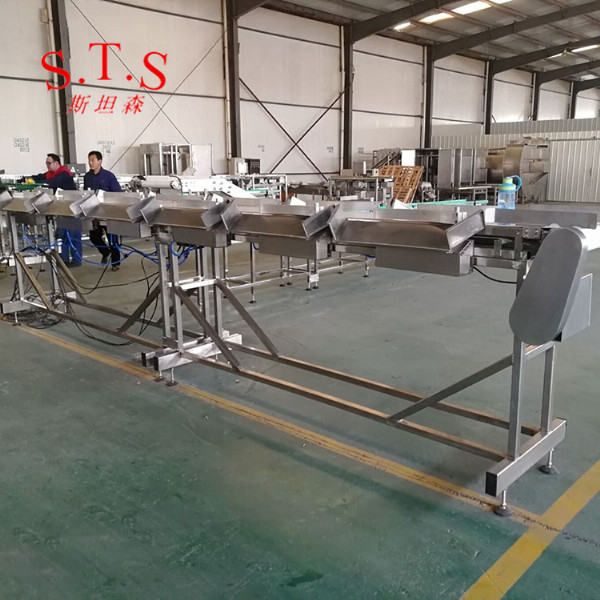 自動稱重分級設備Grader